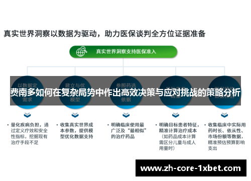 费南多如何在复杂局势中作出高效决策与应对挑战的策略分析